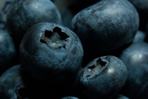 blueberries-5243712_640.jpg